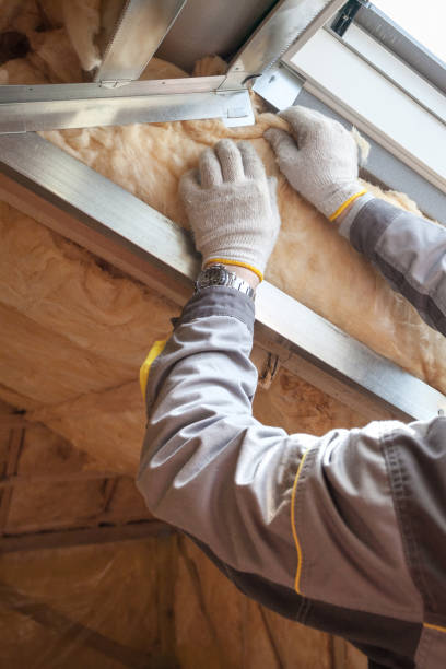 Best Eco-Friendly or Green Insulation Solutions  in Fulton, TX